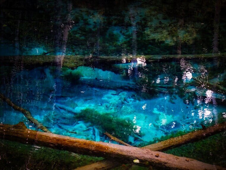 神の子池の全景