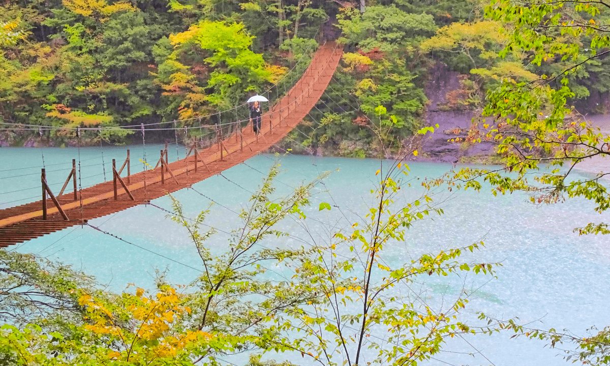 夢の吊り橋の全景