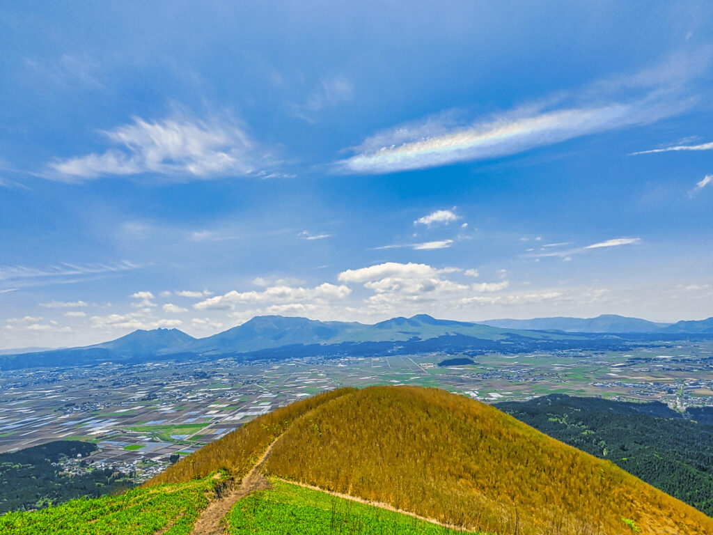 美しい緑の風景