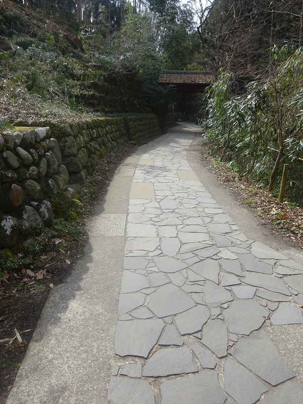青く輝く水