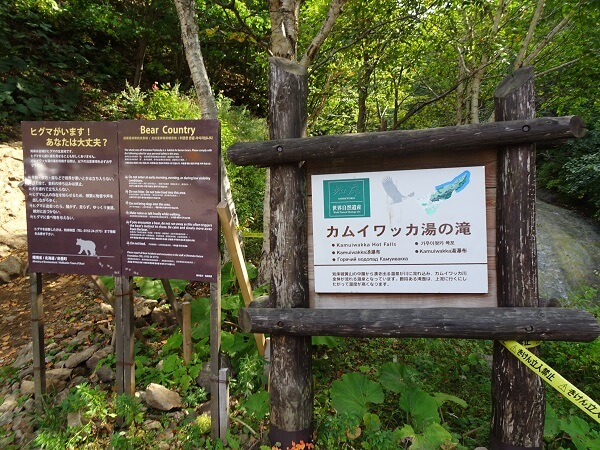 登る様子