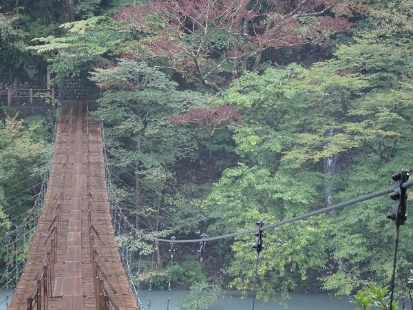 上から見た橋