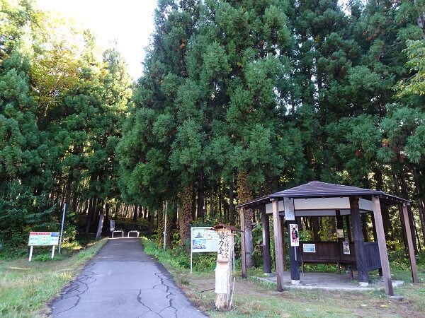 駐車場から美人林への入り口