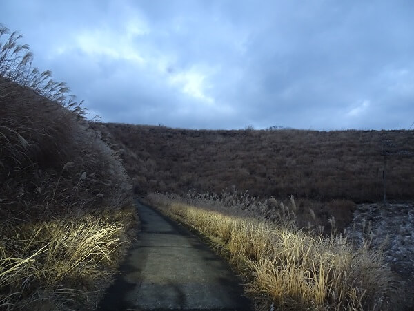 幻想的な風景