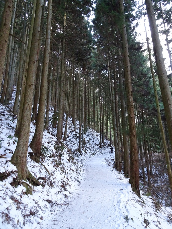 滝見台からの景色