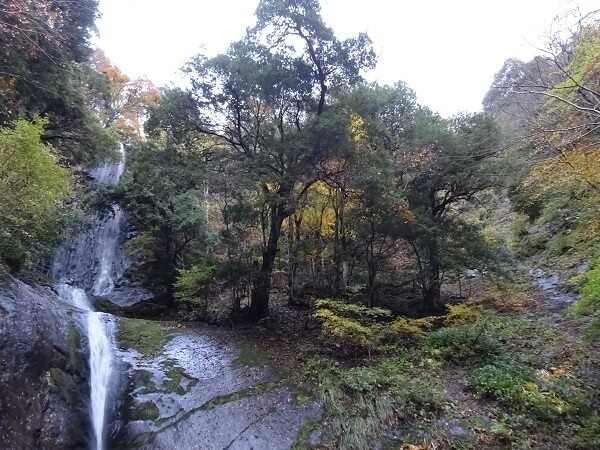 案内看板