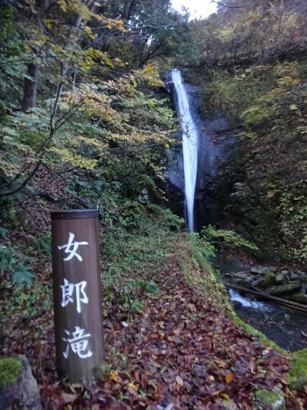 木漏れ日