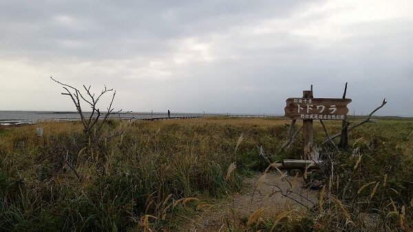 曇り空の野付半島