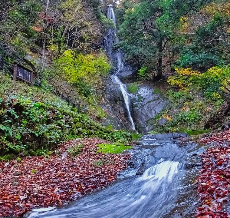 猿尾滝の全景